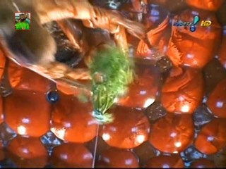 Sabrina Sato Part 1 of   2