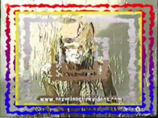 Desiree - Slimed, Pied & Doused