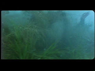 A Chinese Ghost Story 2