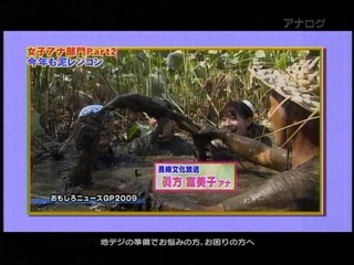 Japanese mud festival