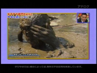 Japanese mud festival