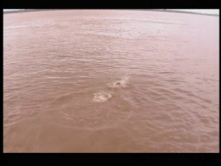 Japanese girl swiming