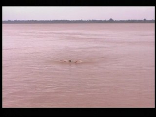 Japanese girl swiming