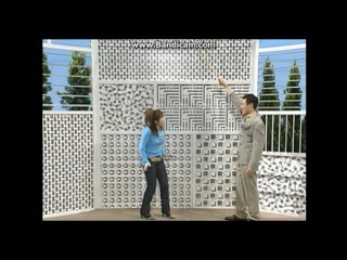 Japanese comedy show