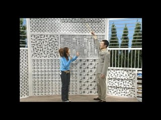 Japanese comedy show