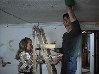 Ups and Downs of a Handyman