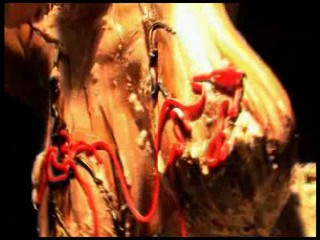 Naturally Exposed 10