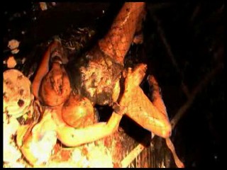 Naturally Exposed 10