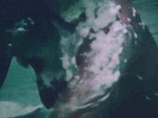 Young, Hot 'n Nasty Teenage Cruisers AKA Cruising for Sex