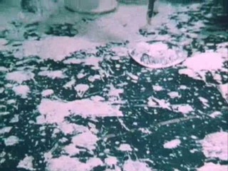 Young, Hot 'n Nasty Teenage Cruisers AKA Cruising for Sex