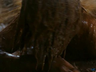 Zwartboek AKA Black Book