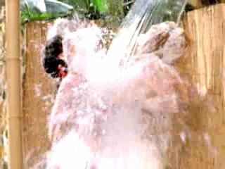 The Real Gilligan's Island, Parker Lewis Can't Lose