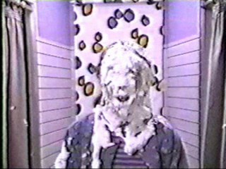 The Real Gilligan's Island, Parker Lewis Can't Lose