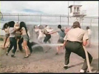 Doppelganger, Concrete jungle