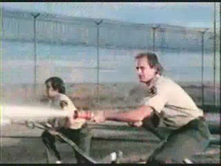 Doppelganger, Concrete jungle