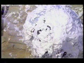 Wild & Crazy Kids, Generation Game, Orbitz Gum Commercial