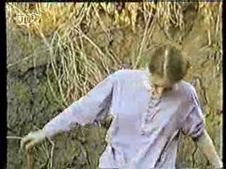 Germany's Funniest Videos,  German TV Drama, U.S. Jungle Movie