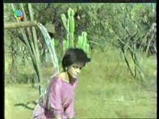 The Gods Must Be Crazy 2,  German Disney Club,  German Movie,