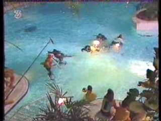 Avante Garde German Show