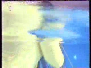 Avante Garde German Show