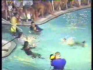 Avante Garde German Show