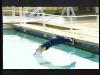 German Disney Club,  Buster's Bedroom,  German Disney Club