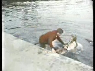 Tarzan (1966 tv series),  Live a Little - Love a Litte,  Having it All,