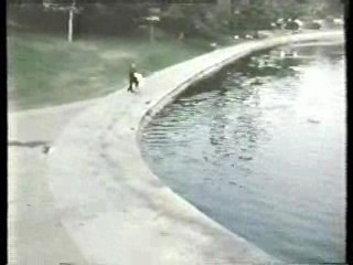 Tarzan (1966 tv series),  Live a Little - Love a Litte,  Having it All,