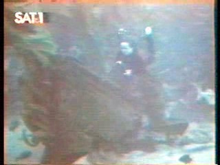 Italian Fashion Show,  Fantasy Island