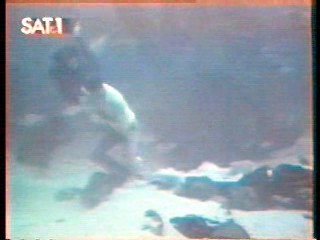 Italian Fashion Show,  Fantasy Island