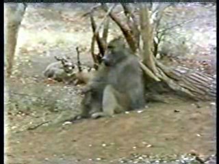 House of Fire,  German Movie