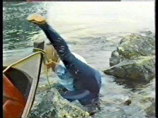 Charlies Angels,  German TV (2)