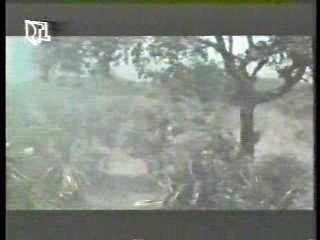 Green Fire,  German movie