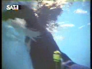 The Secret of Seagull Island