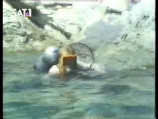 The Secret of Seagull Island