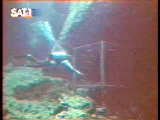 The Secret of Seagull Island