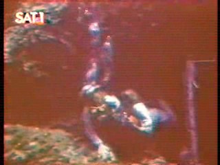 The Secret of Seagull Island