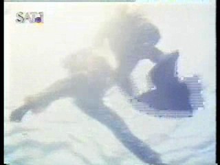 The Secret of Seagull Island