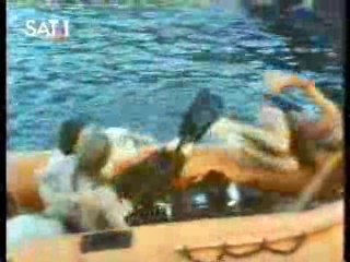 The Secret of Seagull Island