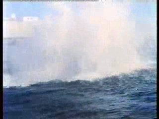 Tomcat: Dangerous Desires