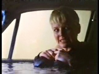 Tomcat: Dangerous Desires