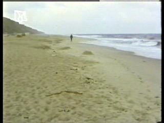 German TV (2),  German MTV veejay