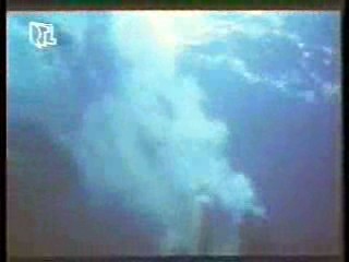 German MTV veejay,  Flipper (1996 series),  Diesel Jeans