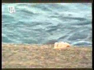 German MTV veejay,  Flipper (1996 series),  Diesel Jeans