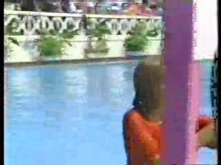 The War between Men and Women,  Fernschgarten