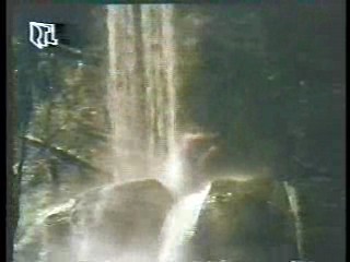 Tales of the Gold Monkey