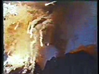 Tales of the Gold Monkey