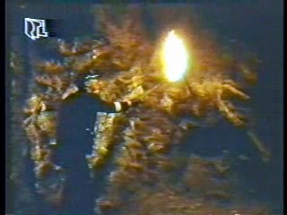 Tales of the Gold Monkey