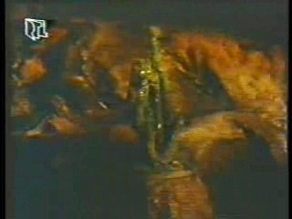 Tales of the Gold Monkey