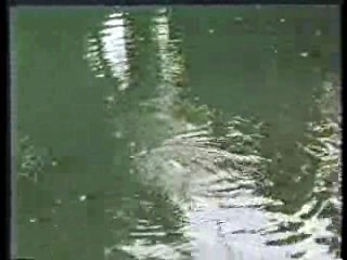 What Waits Below,  German film